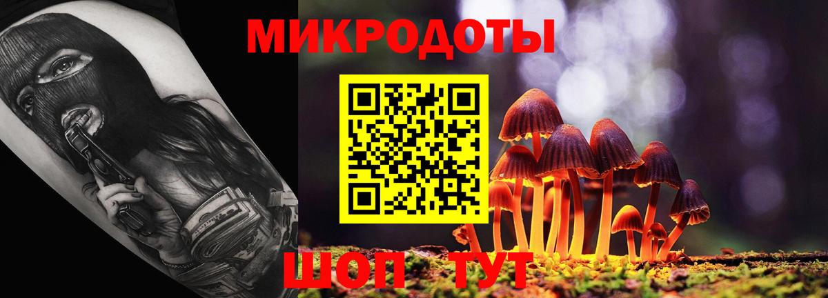 Брянск  Галлюциногенные грибы ЛСД  где продают   Вход с VPN  Галлюциногенные грибы прущие грибы 