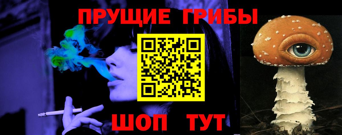 Псилоцибиновые грибы прущие грибы Брянск